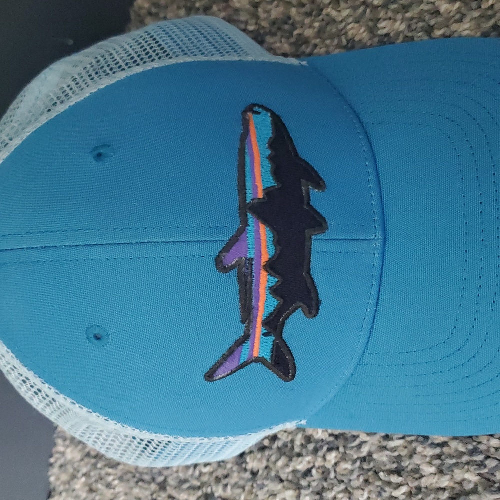 Patagonia Fitz Roy Trout Trucker Hat - Picture 5 of 8